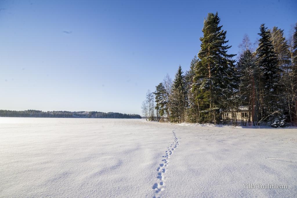 Villa Tuuliniemi Muurame Rum bild