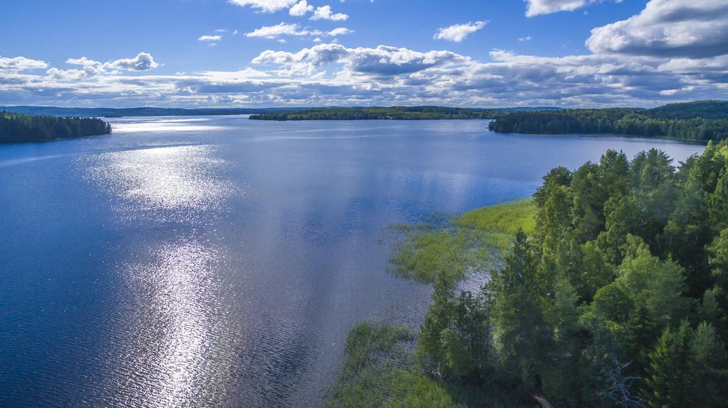 Villa Tuuliniemi Muurame Exteriör bild